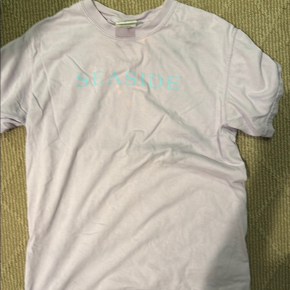 Comfort Colors Lavender Tee with Aqua Text